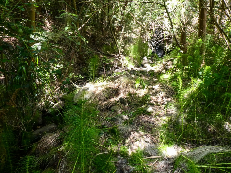 Levada do Coronel — Madre 1 — Foto 3
