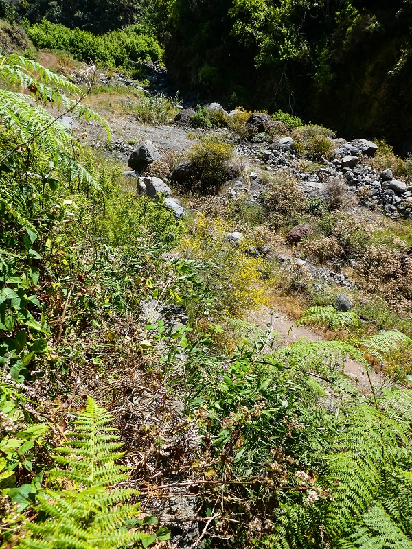 Levada do Coronel — Alter Verlauf zur 'Madre 0' in der Ribeira da Ponta do Sol, teilweise weggespült — Foto 5