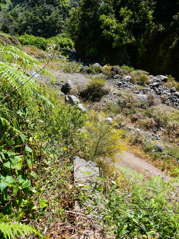Levada do Coronel — Alter Verlauf zur 'Madre 0' in der Ribeira da Ponta do Sol, teilweise weggespült — Foto 2