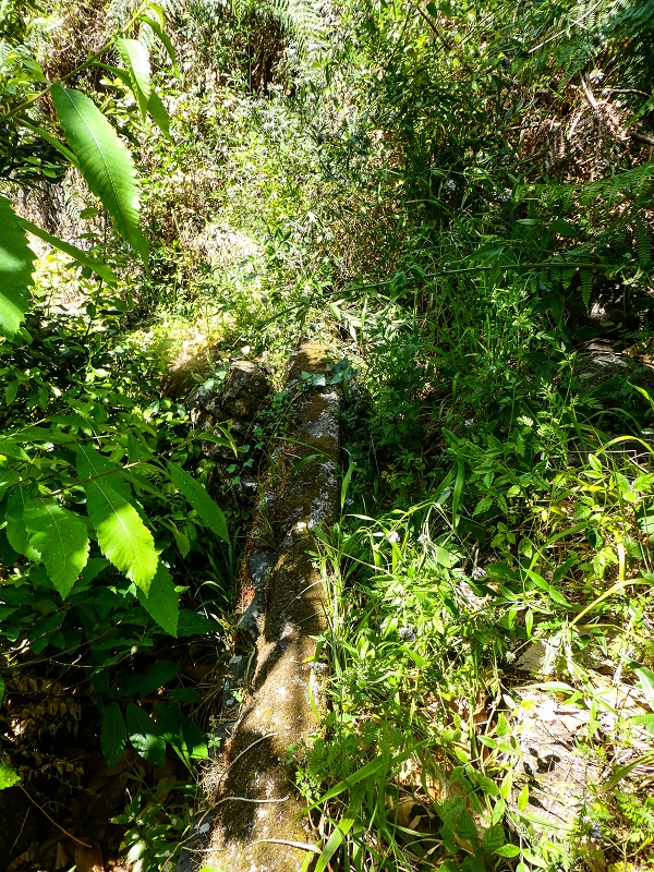 17 de maio de 2019 Para fechar: 5 levadas em Ponta do Sol — Vestígios da levada em direção à Madre 0 — foto 6