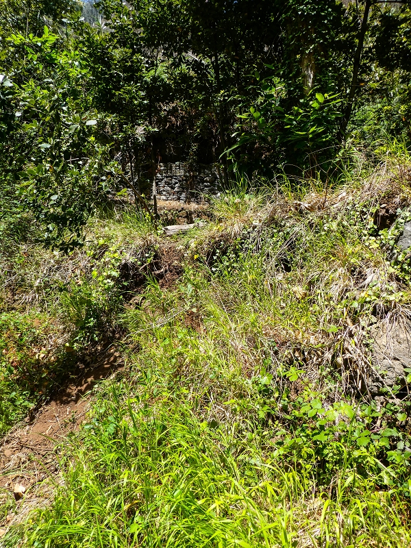 Levada do Coronel — Schilfrohrabstieg 2013 und heute — Foto 2
