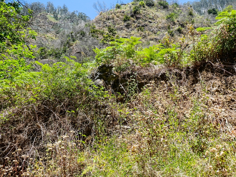 Levada do Coronel — Alter Verlauf zur 'Madre 0' in der Ribeira da Ponta do Sol, teilweise weggespült — Foto 1