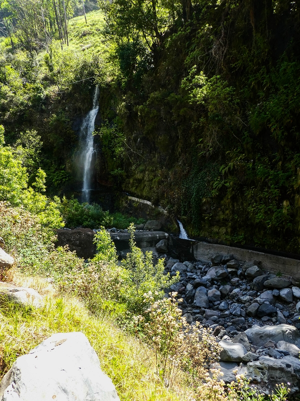 17 de maio de 2019 Para fechar: 5 levadas em Ponta do Sol — Madres da Levada do Moinho e da Levada Nova da Ponta do Sol — foto 1