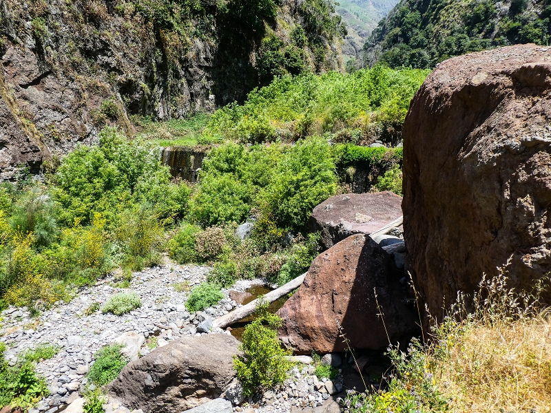 Levada Nova — Weitere Beschreibungen — Foto 25