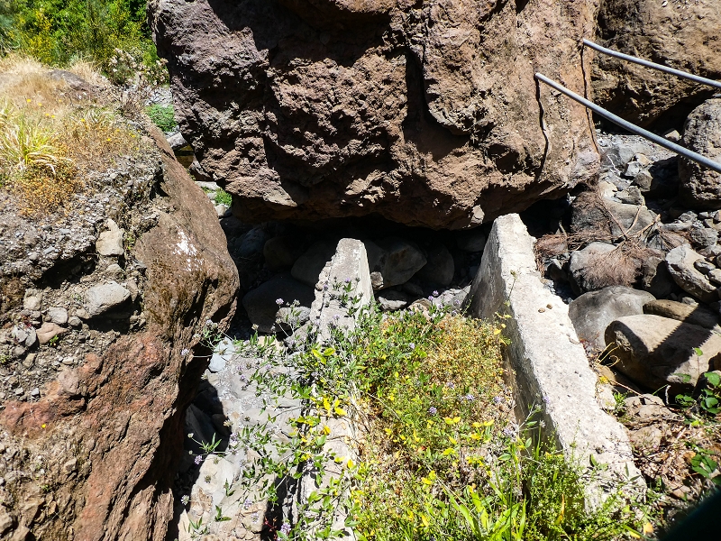 Levada Nova — Weitere Beschreibungen — Foto 28