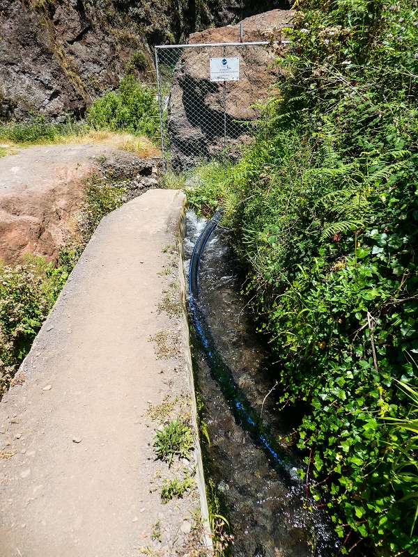 Levada Nova — Weitere Beschreibungen — Foto 29