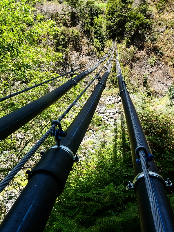 Levada Nova — Weitere Beschreibungen — Foto 32