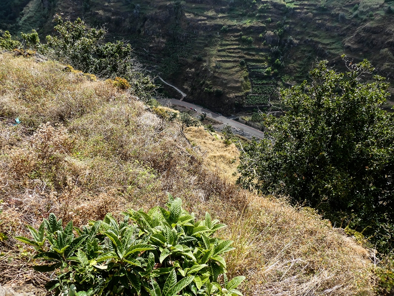 17 de maio de 2019 Para fechar: 5 levadas em Ponta do Sol — Para a Levada do Coronel e até ao cruzamento de estradas — foto 12