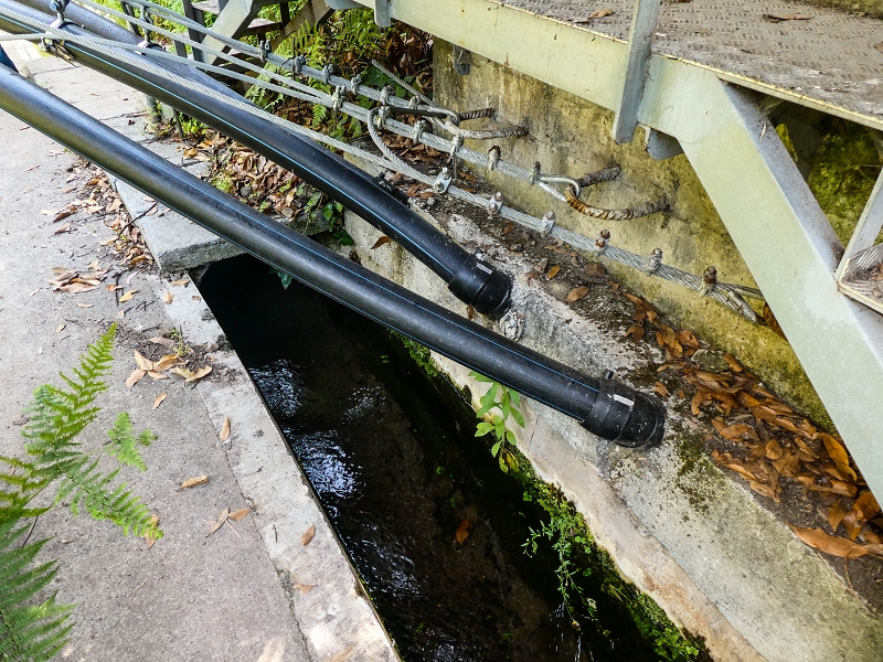 Levada Nova — Weitere Beschreibungen — Foto 33