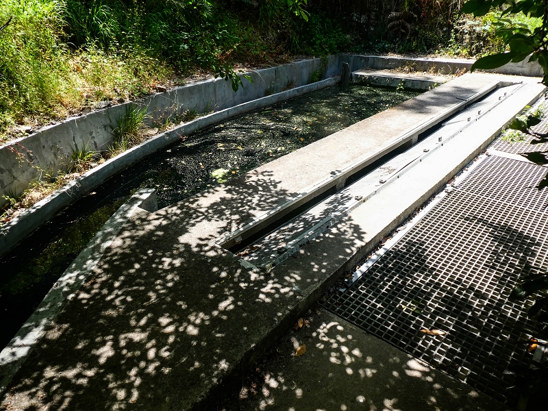 17 de maio de 2019 Para fechar: 5 levadas em Ponta do Sol — Madres da Levada do Moinho e da Levada Nova da Ponta do Sol — foto 13