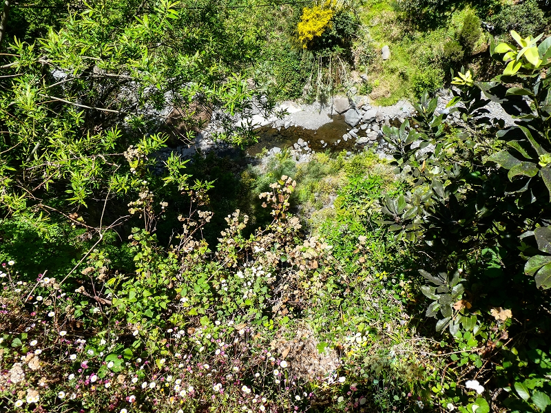17 de maio de 2019 Para fechar: 5 levadas em Ponta do Sol — Madres da Levada do Moinho e da Levada Nova da Ponta do Sol — foto 14
