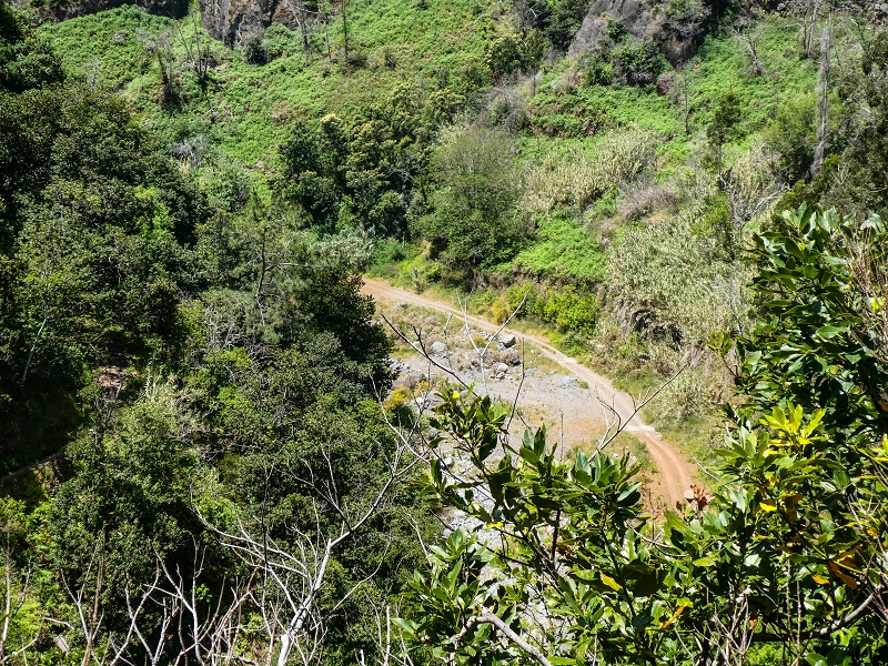 17 de maio de 2019 Para fechar: 5 levadas em Ponta do Sol — Madres da Levada do Moinho e da Levada Nova da Ponta do Sol — foto 16