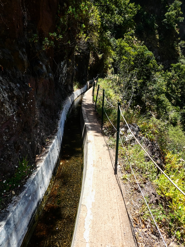 17 de maio de 2019 Para fechar: 5 levadas em Ponta do Sol — Seguindo até à passagem da cascata — foto 2