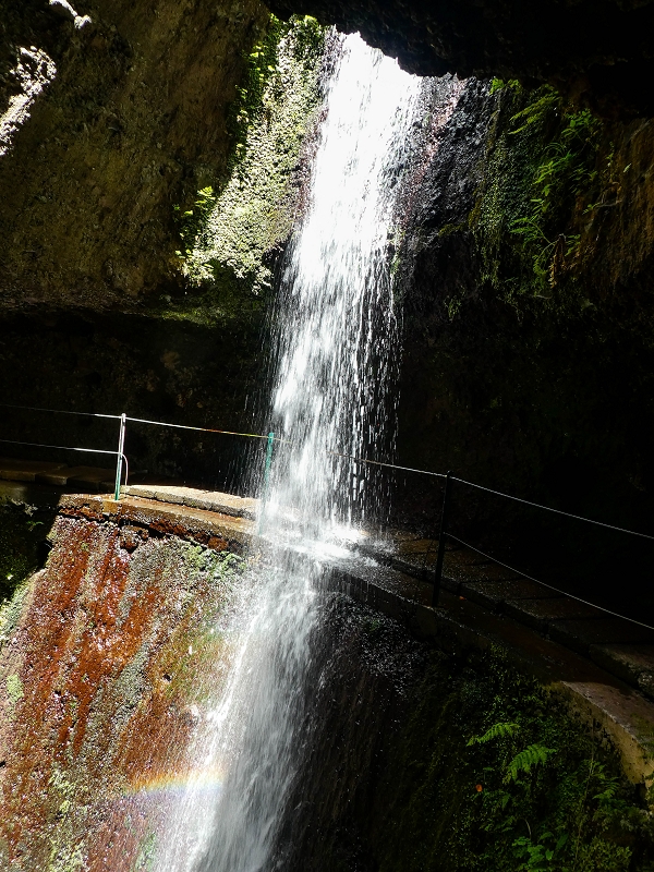 17 de maio de 2019 Para fechar: 5 levadas em Ponta do Sol — Seguindo até à passagem da cascata — foto 5