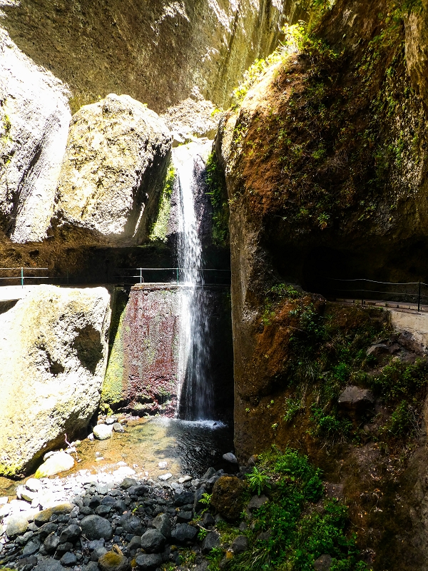 17 de maio de 2019 Para fechar: 5 levadas em Ponta do Sol — Seguindo até à passagem da cascata — foto 8