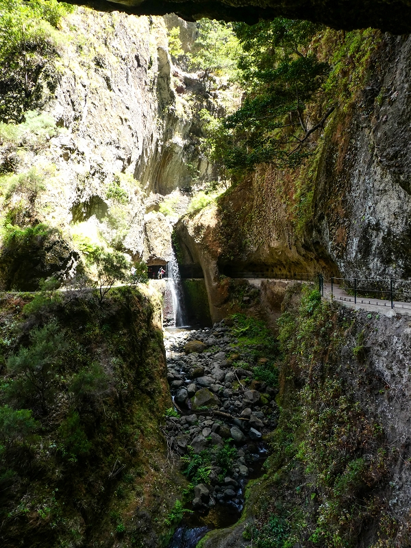 17 de maio de 2019 Para fechar: 5 levadas em Ponta do Sol — Seguindo até à passagem da cascata — foto 11