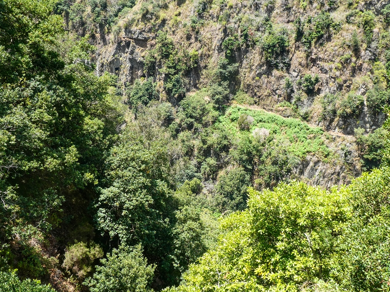 17 de maio de 2019 Para fechar: 5 levadas em Ponta do Sol — Vistas para a Levada do Coronel do lado oposto — foto 1