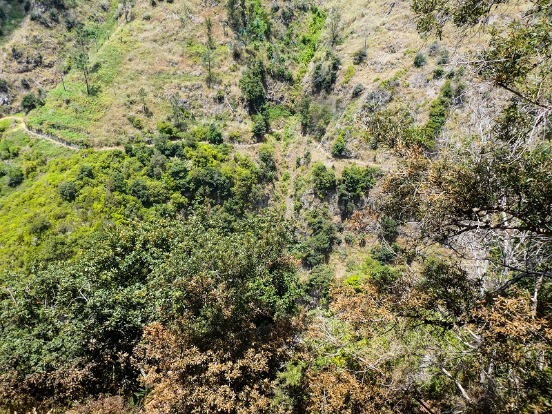 17 de maio de 2019 Para fechar: 5 levadas em Ponta do Sol — Vistas para a Levada do Coronel do lado oposto — foto 8