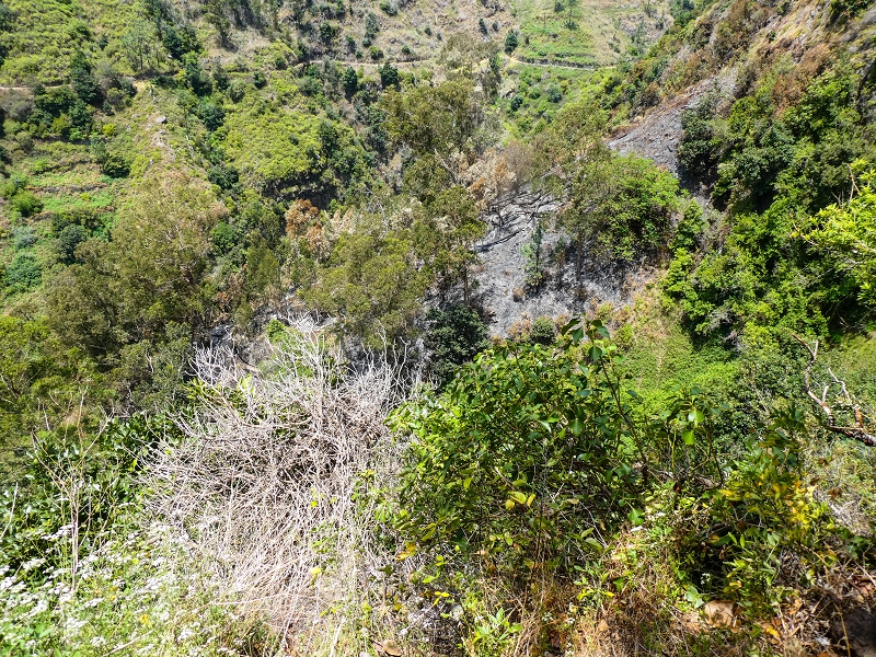 17 de maio de 2019 Para fechar: 5 levadas em Ponta do Sol — Danos recentes do incêndio — foto 2