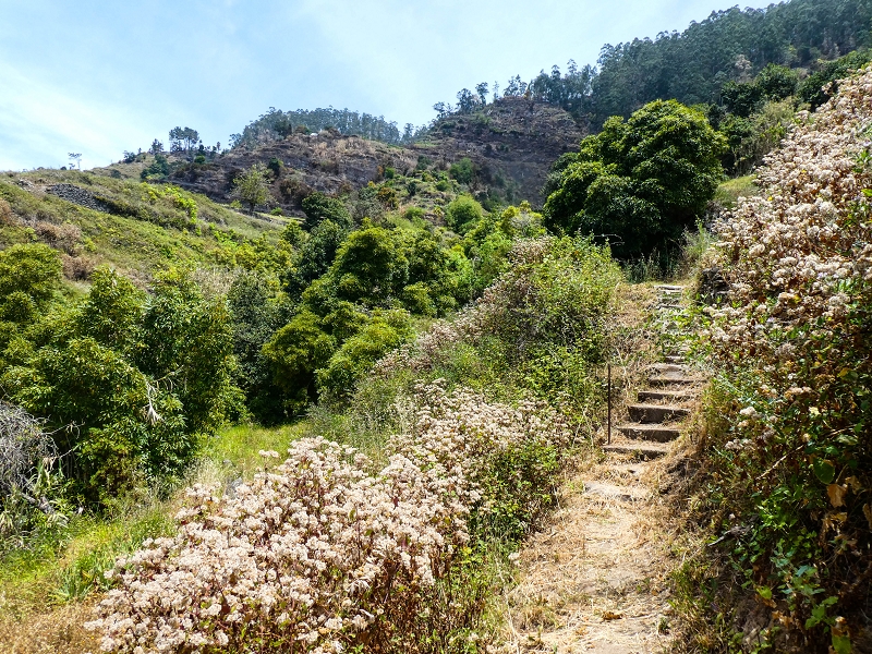 17 de maio de 2019 Para fechar: 5 levadas em Ponta do Sol — Subida ao palheiro de telhado amarelo — foto 4