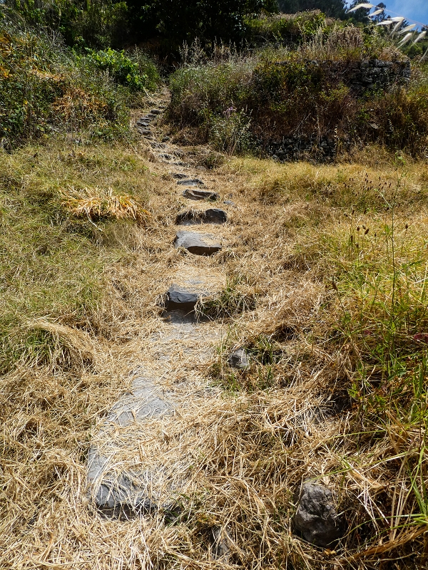 17 de maio de 2019 Para fechar: 5 levadas em Ponta do Sol — Subida ao palheiro de telhado amarelo — foto 5
