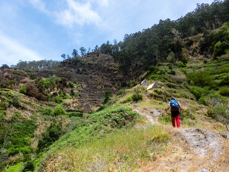 17 de maio de 2019 Para fechar: 5 levadas em Ponta do Sol — Subida ao palheiro de telhado amarelo — foto 9