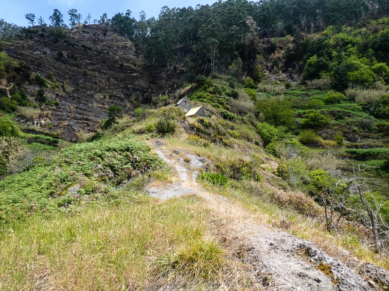 17 de maio de 2019 Para fechar: 5 levadas em Ponta do Sol — Subida ao palheiro de telhado amarelo — foto 10