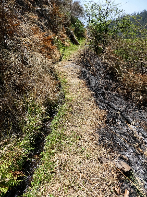 17 de maio de 2019 Para fechar: 5 levadas em Ponta do Sol — Subida ao reservatório intermédio da Levada do Teixo — foto 6