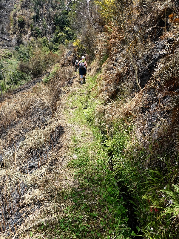 17 de maio de 2019 Para fechar: 5 levadas em Ponta do Sol — Subida ao reservatório intermédio da Levada do Teixo — foto 7