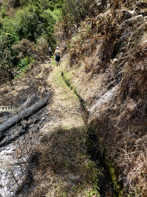 17 de maio de 2019 Para fechar: 5 levadas em Ponta do Sol — Subida ao reservatório intermédio da Levada do Teixo — foto 8