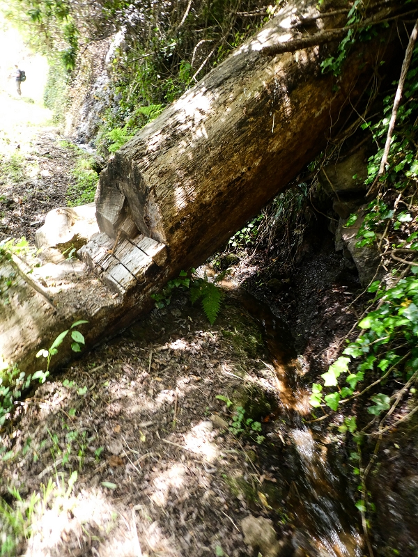 17 de maio de 2019 Para fechar: 5 levadas em Ponta do Sol — Subida ao reservatório intermédio da Levada do Teixo — foto 9