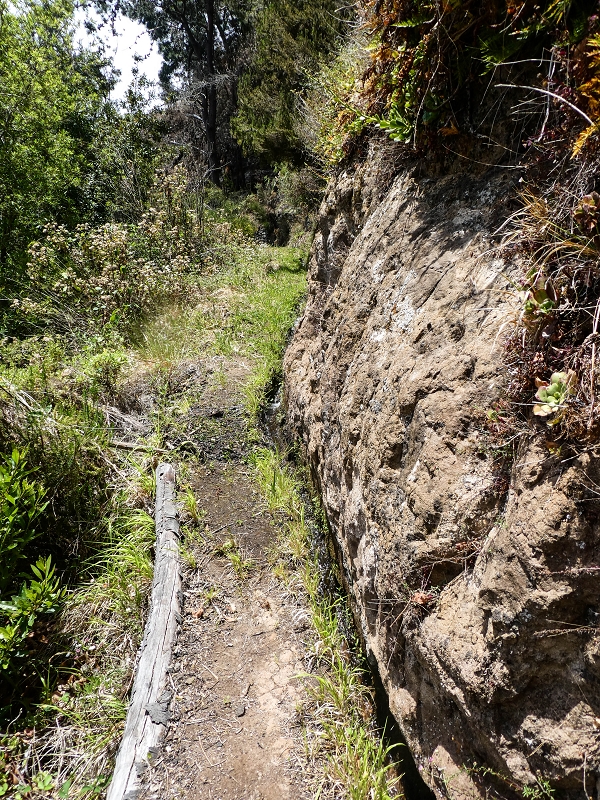 17 de maio de 2019 Para fechar: 5 levadas em Ponta do Sol — Subida ao reservatório intermédio da Levada do Teixo — foto 10