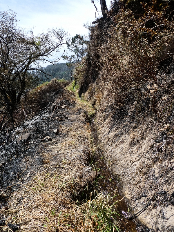 Levada do Teixo — On to the intermediate reservoir — photo 4