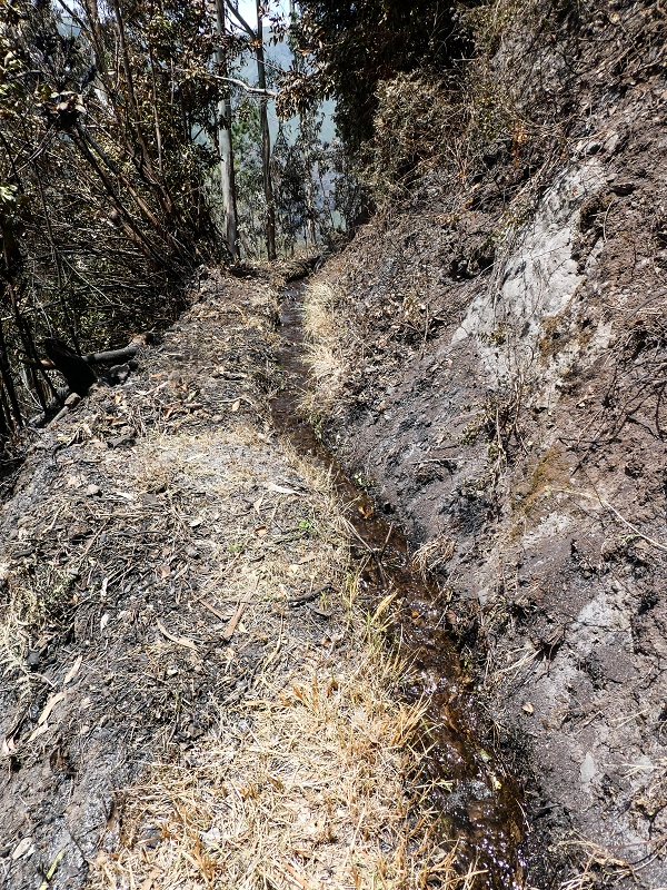 Levada do Teixo — On to the intermediate reservoir — photo 5