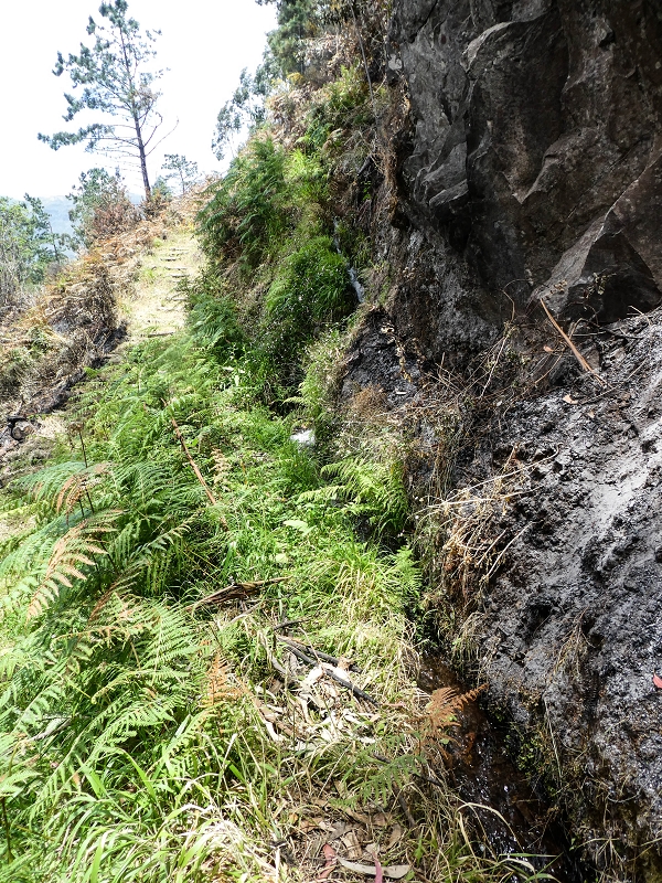 Levada do Teixo — On to the intermediate reservoir — photo 2