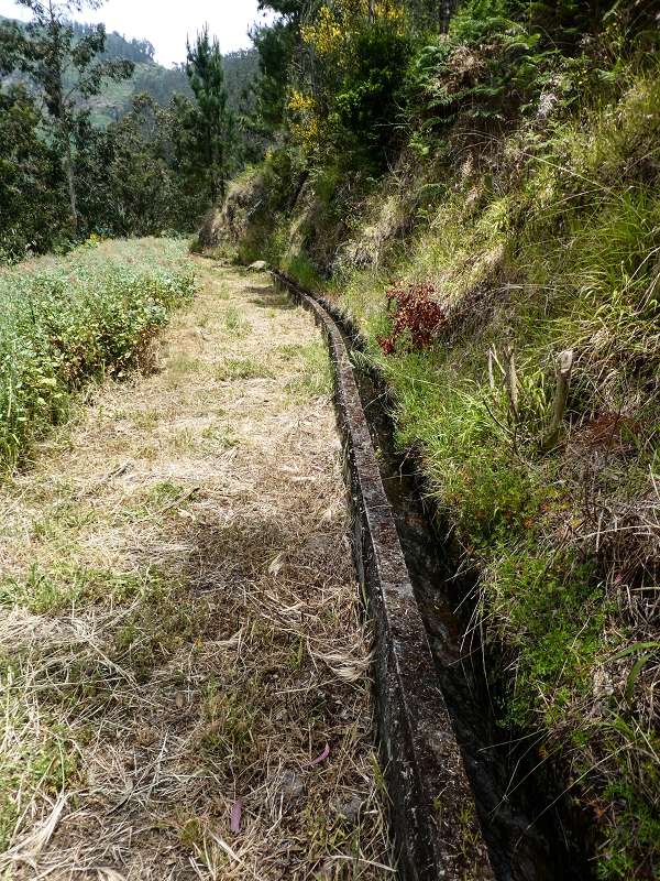 17 de maio de 2019 Para fechar: 5 levadas em Ponta do Sol — Na Levada do Teixo pelo caminho desbravado — foto 9