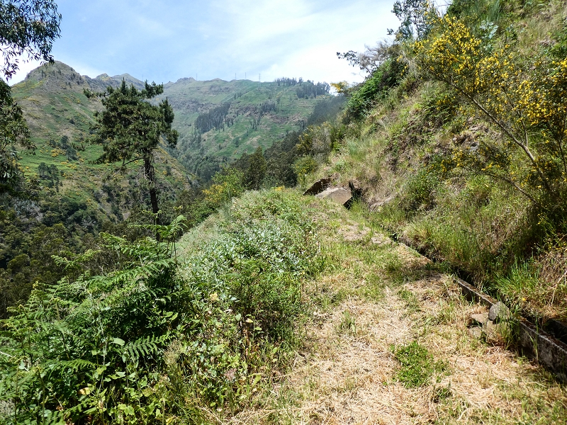 17 de maio de 2019 Para fechar: 5 levadas em Ponta do Sol — Na Levada do Teixo pelo caminho desbravado — foto 10