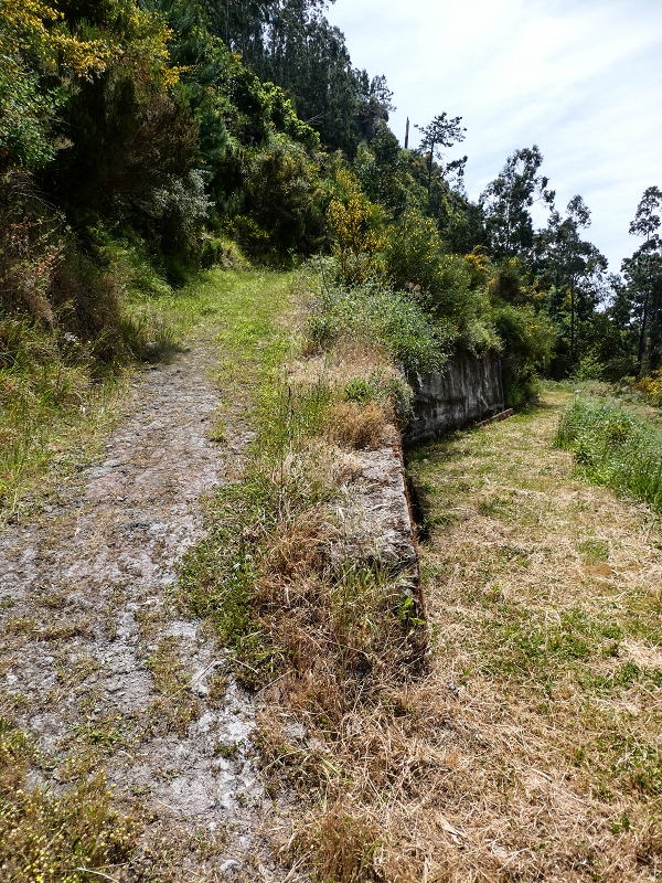 Levada do Teixo — The access road — photo 1