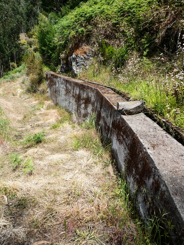 17 de maio de 2019 Para fechar: 5 levadas em Ponta do Sol — Na Levada do Teixo pelo caminho desbravado — foto 12