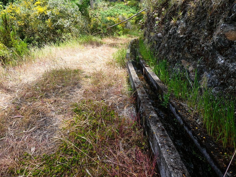 17 de maio de 2019 Para fechar: 5 levadas em Ponta do Sol — Na Levada do Teixo pelo caminho desbravado — foto 16
