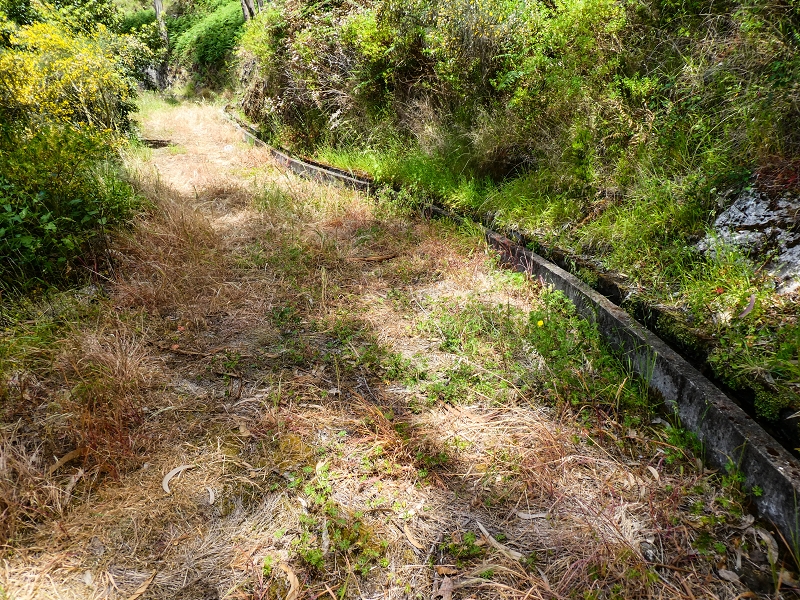 17 de maio de 2019 Para fechar: 5 levadas em Ponta do Sol — Na Levada do Teixo pelo caminho desbravado — foto 17