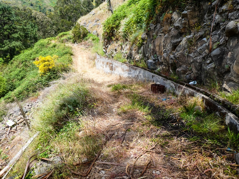 Levada do Teixo — The cleared section — photo 5