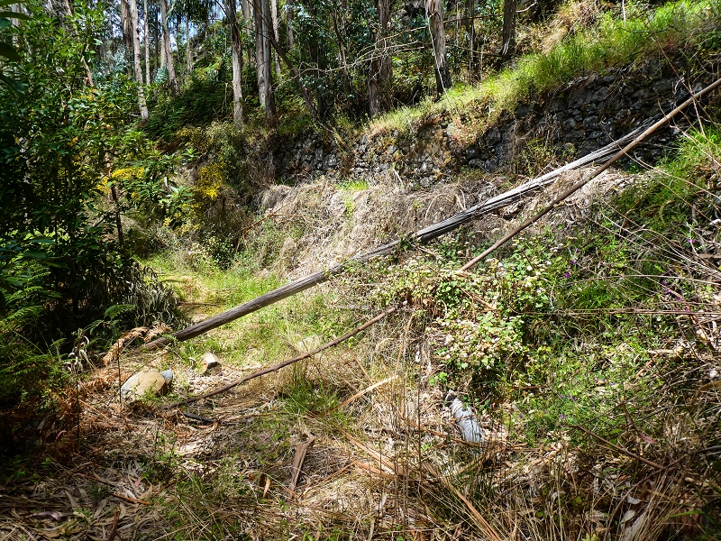 Levada do Teixo — The cleared section — photo 4