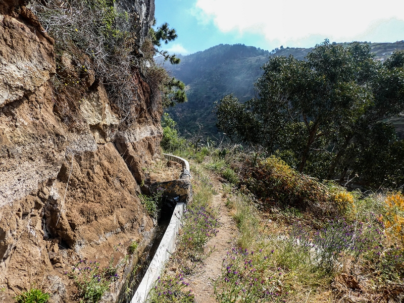 17 de maio de 2019 Para fechar: 5 levadas em Ponta do Sol — Na Levada do Coronel até à Madre 2 — foto 7
