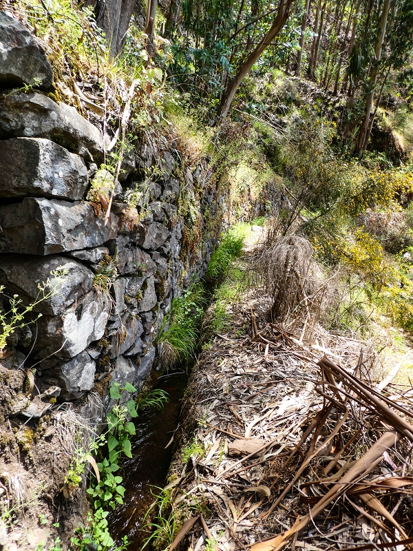 Levada do Teixo — The cleared section — photo 3