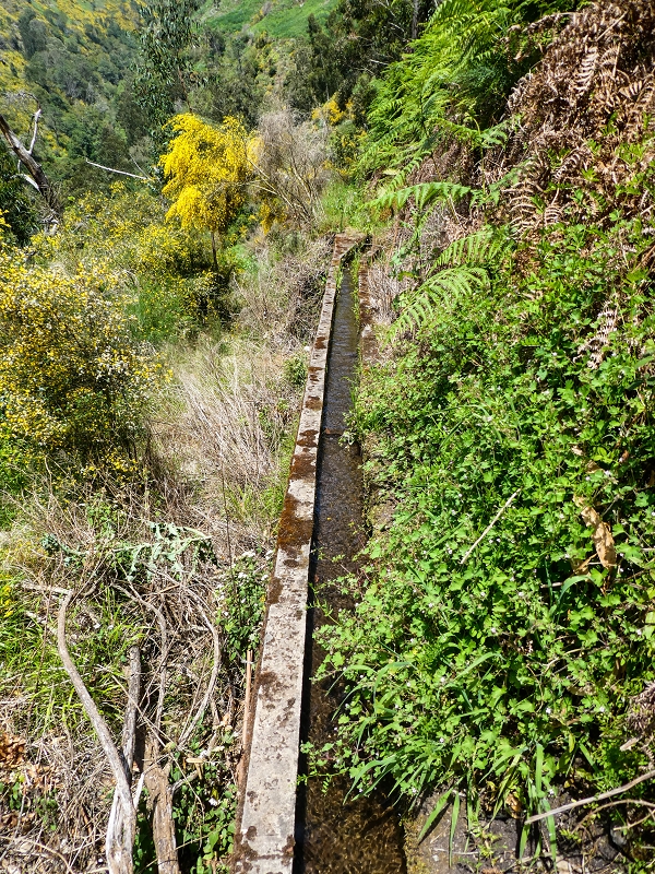17 de maio de 2019 Para fechar: 5 levadas em Ponta do Sol — Até à Madre da Levada do Teixo — foto 2