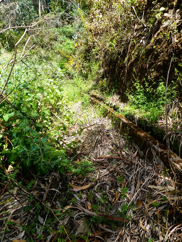 17 de maio de 2019 Para fechar: 5 levadas em Ponta do Sol — Até à Madre da Levada do Teixo — foto 4