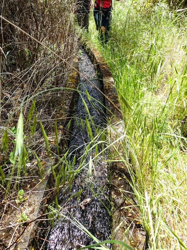 17 de maio de 2019 Para fechar: 5 levadas em Ponta do Sol — Até à Madre da Levada do Teixo — foto 7