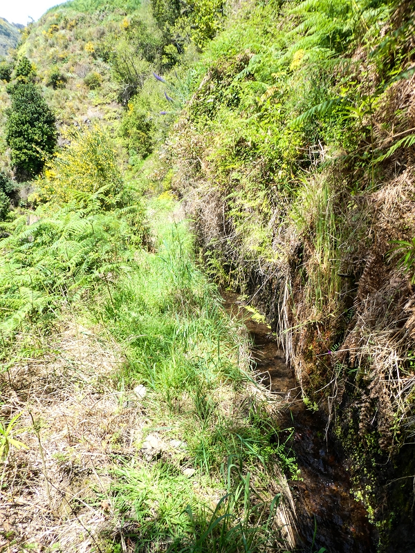 17 de maio de 2019 Para fechar: 5 levadas em Ponta do Sol — Até à Madre da Levada do Teixo — foto 11