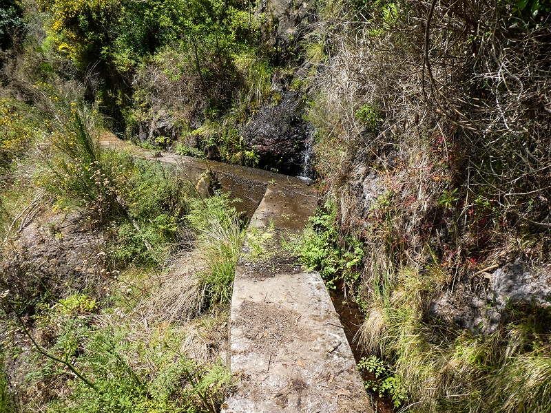 17 de maio de 2019 Para fechar: 5 levadas em Ponta do Sol — Até à Madre da Levada do Teixo — foto 12